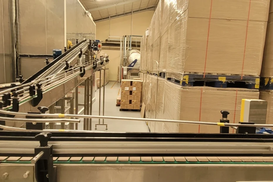 Jenis Conveyor Industri – Belt, Roller, Screw, Incline, dan Telescopic